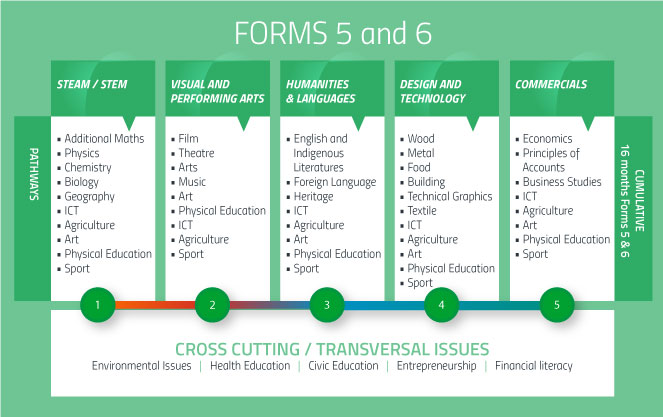 Forms 5 & 6